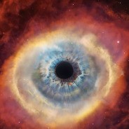 zheckachernev