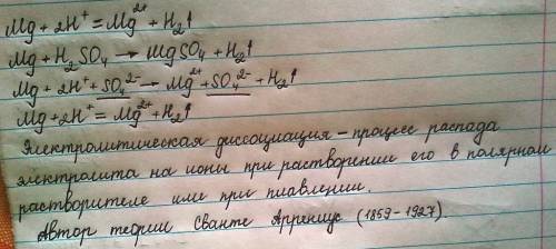 По ионному уравнению составьте полное ионное уравнение и молекулярное: mg+2h+=mg2+ +h2 что называетс