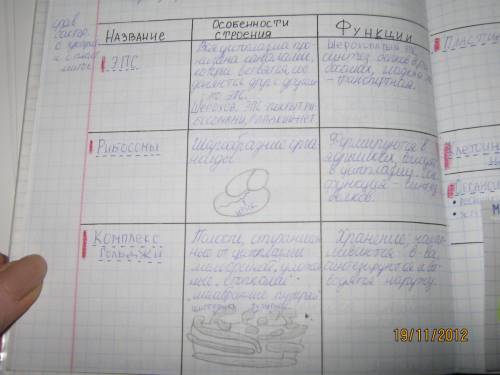Аппарат гольджи - особенности строения, функции лизосомы - особенности строения, функции мембрана - 