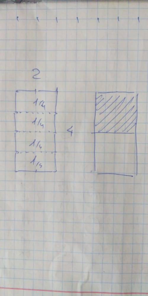 Начерти прямоугольник со сторонами 2 см и 4 см заштрихуй 2/4 площади этого прямоугольника. ​