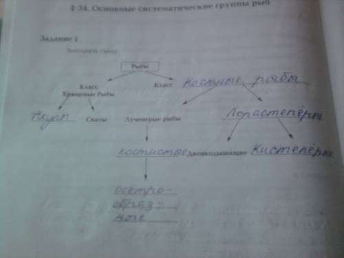 1. заполните схему: рыбы. класс хрящевые рыбы скатылучеперые двоякодышащие