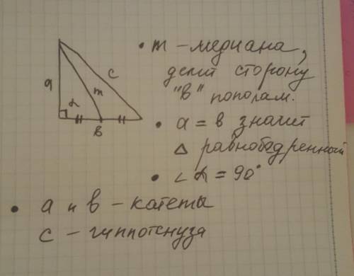 Постройте прямоугольный, равнобедренный треугольник и проведите медиану из острого угла