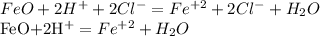 FeO+2H^{+}+2Cl^{-}=Fe^{+2}+2Cl^{-}+H_{2}O

FeO+2H^{+}=Fe^{+2}+H_{2}O