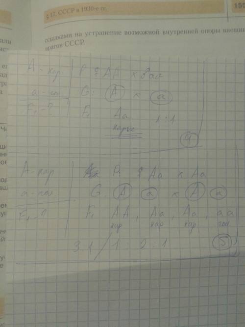 4)у человека карие глаза доминируют над голубыми. голубоглазый мужчина женился на кареглазой женщине