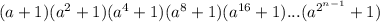 (a+1)(a^2+1)(a^4+1)(a^8+1)(a^{16}+1)...(a^{2^{n-1}}+1)\\
