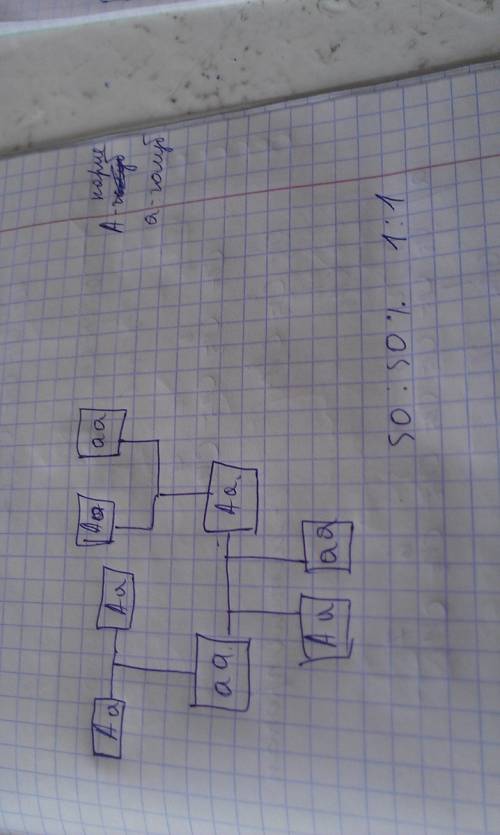 Учеловека карие глаза доминируют над голубыми . голубоглазый мужчина оба род. которого имеют карие г