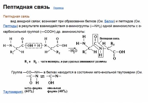 1) пример амидной группировки и укажите пептидную связь. 2) амфотерные свойства аминокислот (объясни