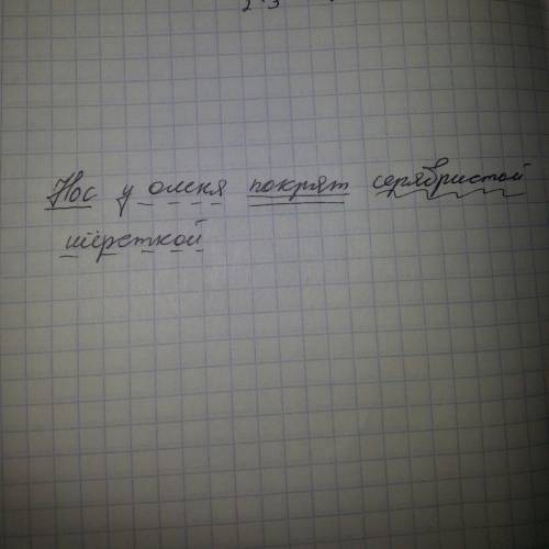 Нос у оленя покрыт серебристой шерсткой.сделать синтаксический разбор предложения.