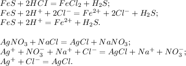 FeS + 2HCI=FeCl_2 + H_2S; \\
FeS + 2H^{+} + 2Cl^{-} = Fe^{2+} + 2Cl^{-} + H_2S; \\ 
FeS + 2H^{+} = Fe^{2+} + H_2S. \\ \\ 
AgNO_3 + NaCl = AgCl + NaNO_3; \\ 
Ag^{+} + NO_3^{-} + Na^{+} + Cl^{-} = AgCl + Na^{+} + NO_3^{-}; \\ 
Ag^{+} + Cl^{-} = AgCl.