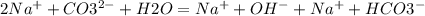 2Na^+ + CO3^{2-} + H2O = Na^{+} + OH^{-} + Na^{+} + HCO3^{-} 
