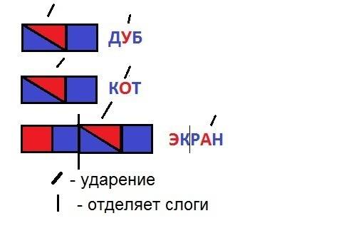 Сделать звуковые схемы слов дуб. экран, кот