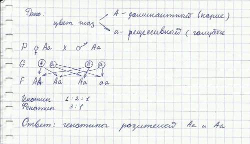 Уродителей,имеющих карие глаза,2 кареглазых и 1 голубоглазый ребенок.каковы генотипы родителей и их