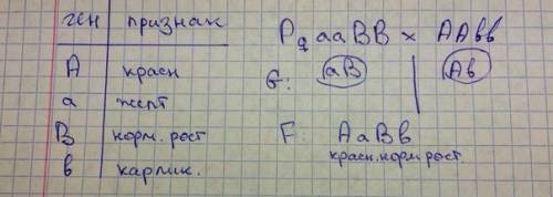 Утоматов красная окраска плодов доминирует над желтой, а нормальный рост- над карликовым. каким обра