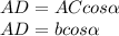 AD = AC cos \alpha \\ 
AD = b cos \alpha