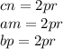 cn=2pr\\
am=2pr\\
bp=2pr