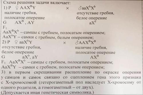 У птиц гетерогаметным полом является женский пол. При скрещивании курицы с гребнем, полосатым оперен