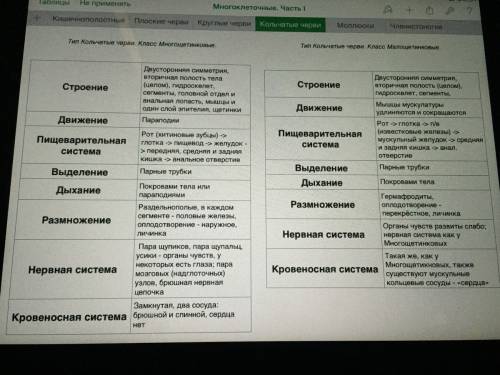 Происхождение кольчатых червей , особенности строения тела,строение нервной системы,наличие анальног