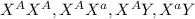 X^AX^A, X^AX^a, X^AY, X^aY
