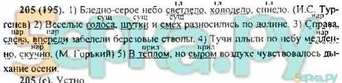 Язык 5 класс 1 часть .205 ладыженского