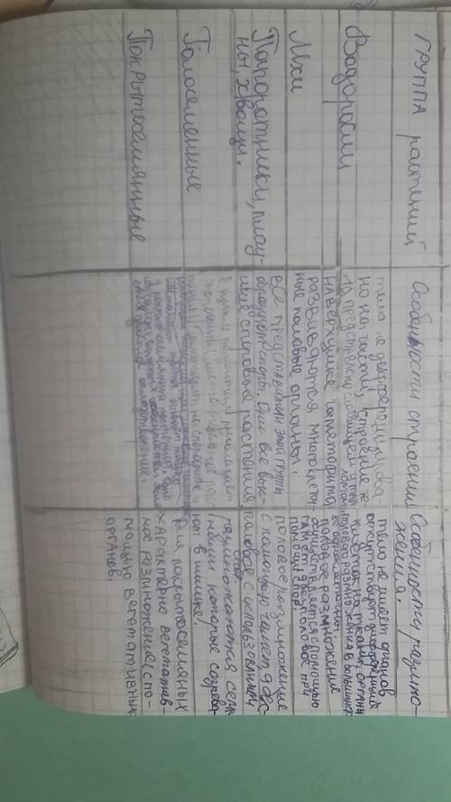 Чем отличаются по внешнему строению папороротники, хвощи, плауны?