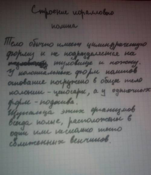 Каково внутреннее строение кораллового полипа