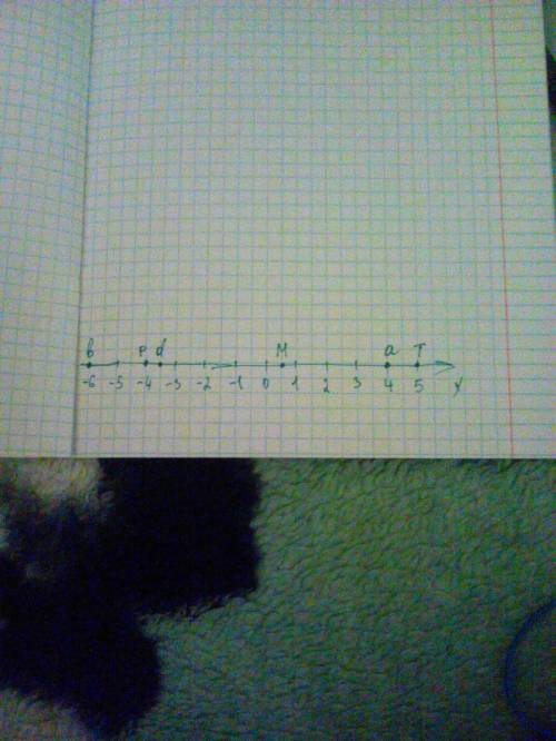 Отметь на координатной прямой точки b(-6),d(-3.5),а(4),m(0.5),p(-4),t(5).