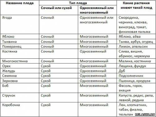 Надо 1* впишите рядом названия плодов. стручок костянка желудь ягода орех орешек семянка зерновка ко