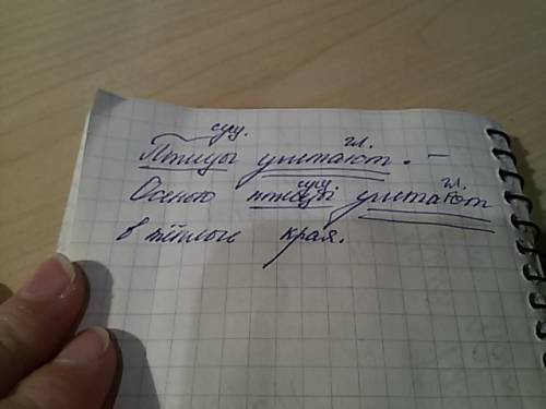 Птицы улетают. - осенью птицы улетают в теплые края. - подчеркните в каждом главные члены предложени