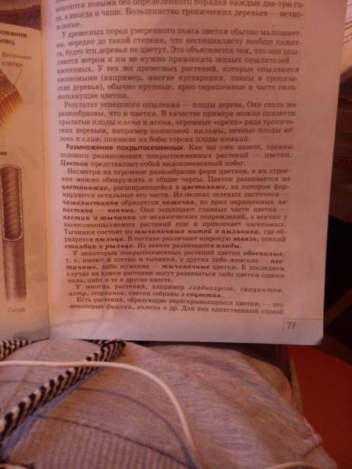 Почему у цветковых растений оплодотворение называют двойным? какое оно имеет значение?