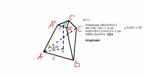 Решите стороны оснований правильной треугольной усеченной пирамиды 2 дм и 6 дм.боковое ребро образуе