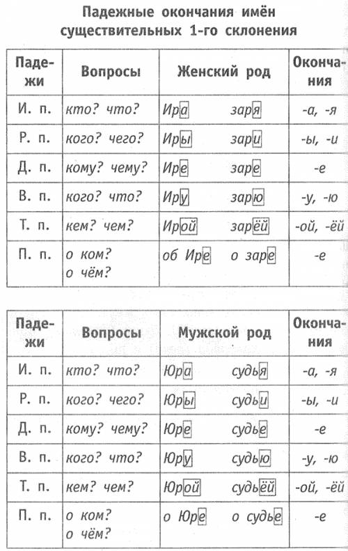 Запиши окончания имён существительных 1 склонения и 3 склонения