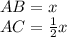 AB =x\\
AC= \frac{1}{2}x
