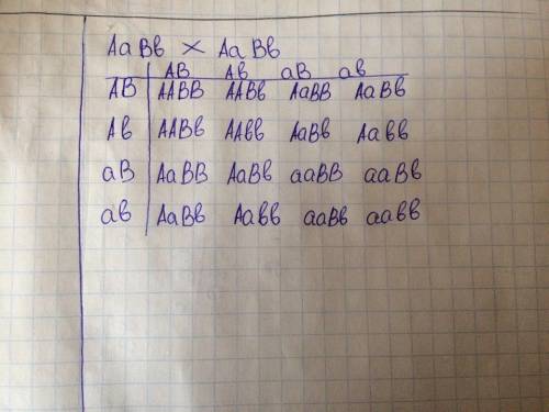 Уклубники крупные листья и круглые - плоды доминантный признак, продолговатые плоды и мелкие листья