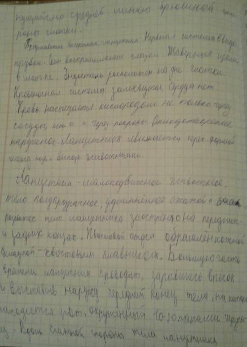 Сделайте синквейн на тему ланцетник