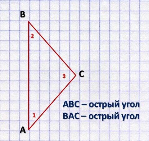 Начертите по клеточкам ту фигуру, у которой два острых угла.
