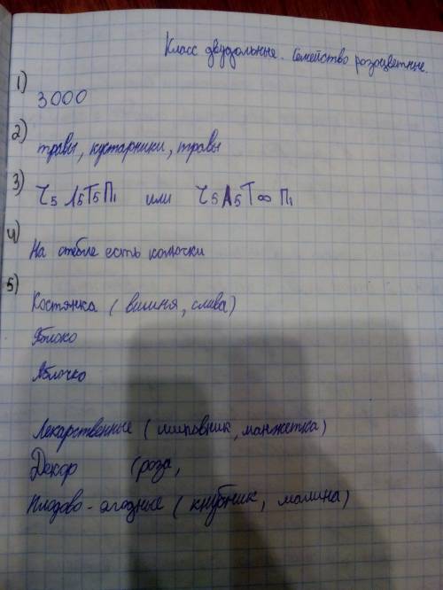 Семейство разоцветных 1)строение цветка 2)формула цветка 3)плод 4)представители