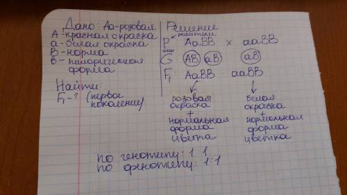 Можно на листочке. чтобы ген признак все подробно сделайте . 1)у львиного зева красная окраска (а) н