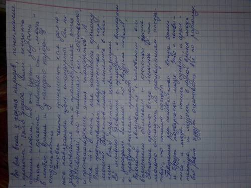 Сочинение-рассуждение всегда ли люди одинаково понимали красоту?