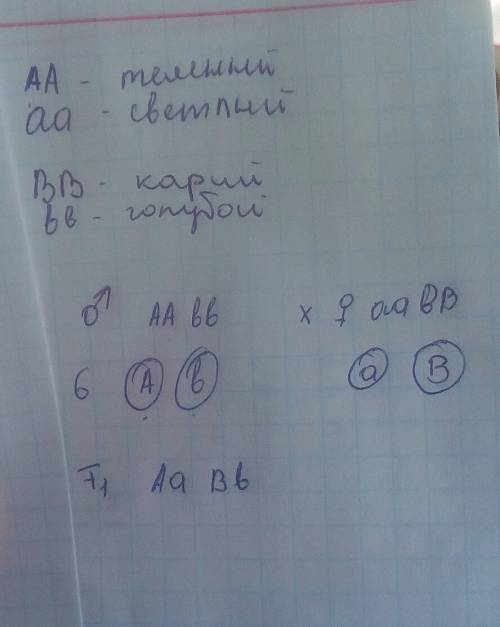 1) у голубоглазого темноволосого отца и кареглазой светловолосой матери 4 детей. каждый из которых о