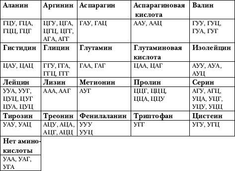 ﻿аспарагин-цистеин-лейцин-аланин установите последовательность информационной днк: а)угу б)гцу в)уу
