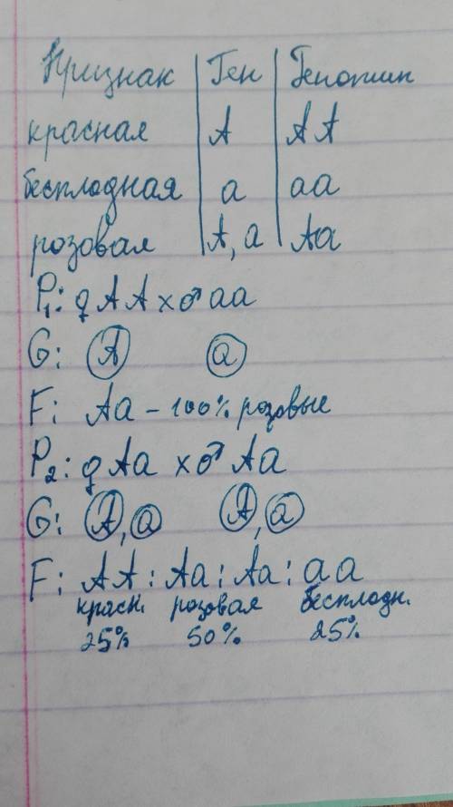 При скрещивании красноплодной земляники с бесплодной земляникой все растения получились с розовыми .