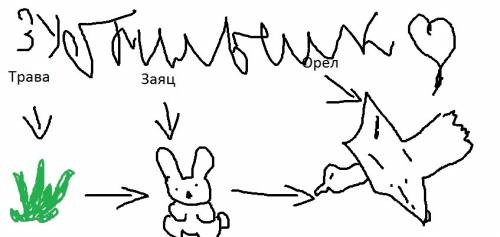 Проиллистрируйте трофическую цепь между живыми существами, 30