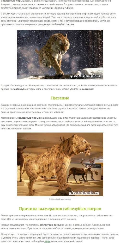 Сообщение на тему соблезубый тигр. в времена древних людей.