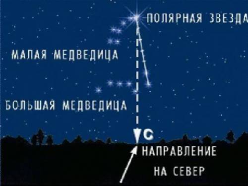 Подпишите название звезды на которую направлен северный конец земной оси