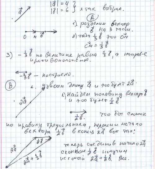 Начертите два неколлиниарных вектора a и b. постройте векторы: -1/3b и 2a+1/2b !