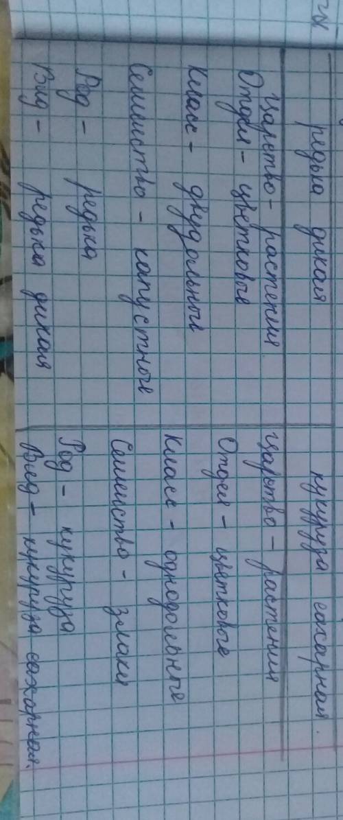 Запишите в тетради систематическое положение растений: редьки дикой, кукуруза. тоже самое, но только