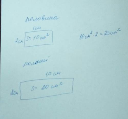 Построить прямоугольник половина площади которой равна 10 см в квадрате