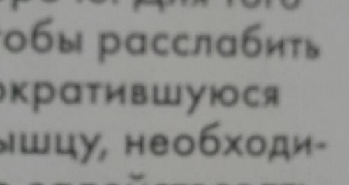 1. в чём проявляется влияние и спортом на развитие и формирование о.д.с. человека? какова роль в эт