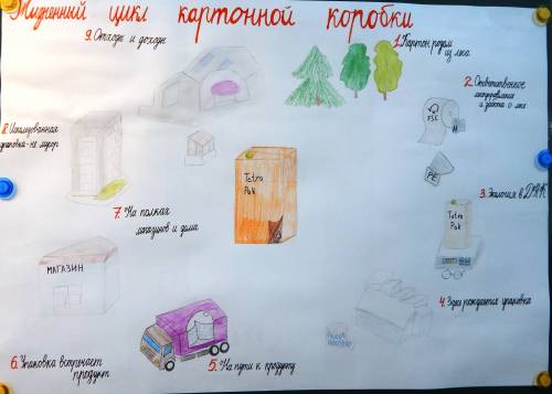 Жизненный цикл: картон ананас кастрюля