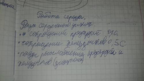 Зарисуйте схему строения сердца, указав камеры сердца и местонахождение клапанов сердца. поясните, к